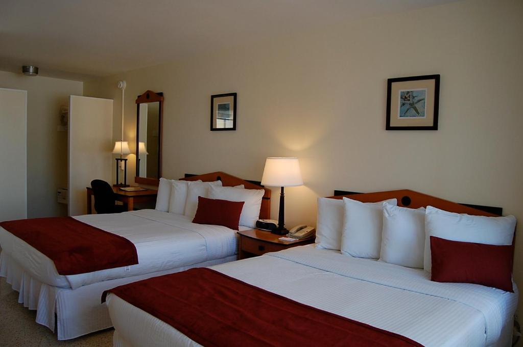 Alcazar Resort- Gay Mens Resort Fort Lauderdale Zimmer foto